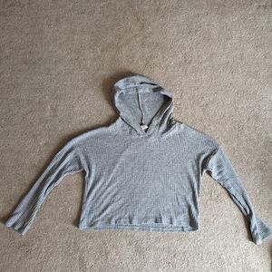 Gray Cropped Sweatshirt